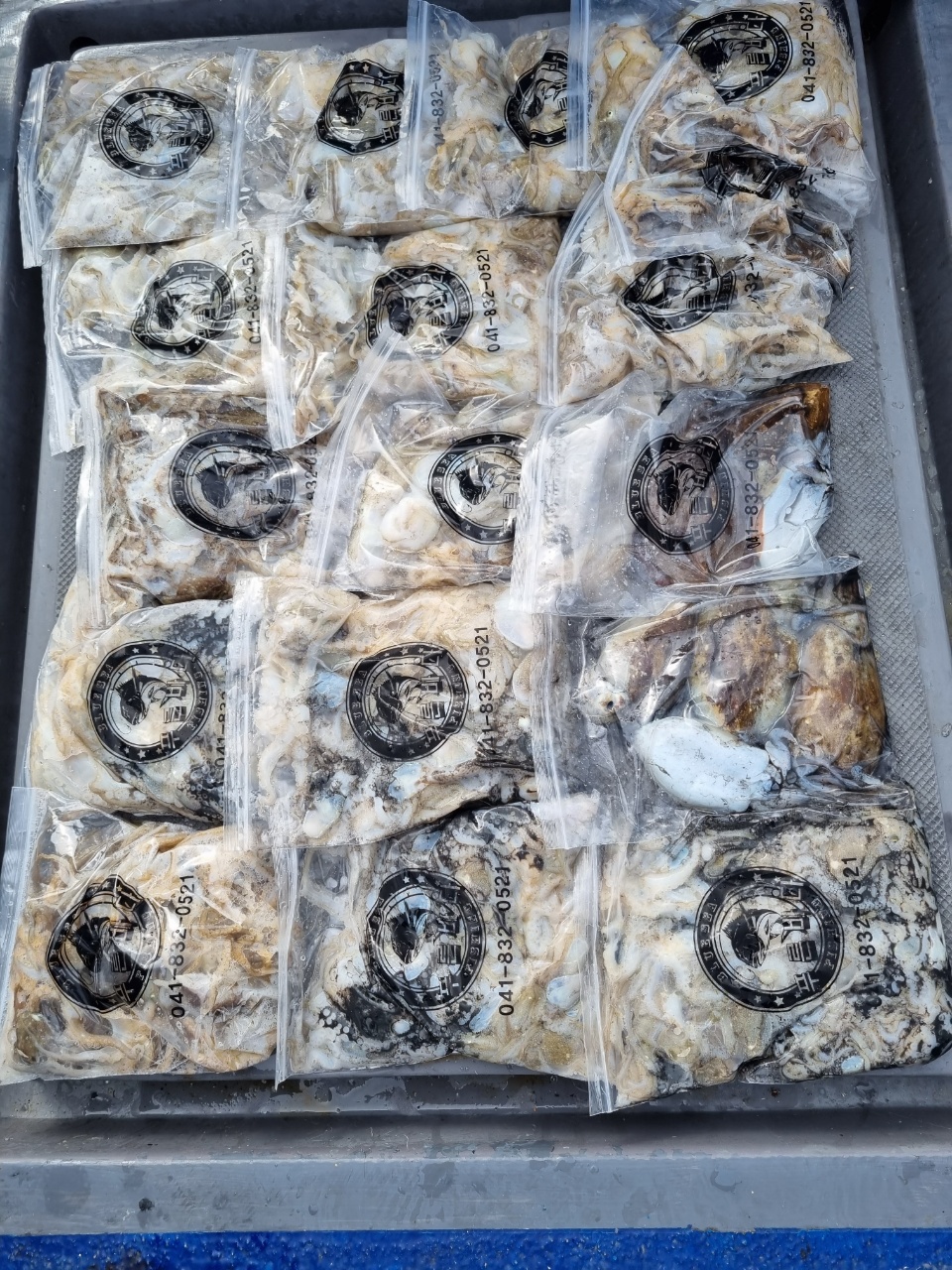 [[푸바5호]] 2021년 9월 10일 짤선장 쭈꾸미 조행기~