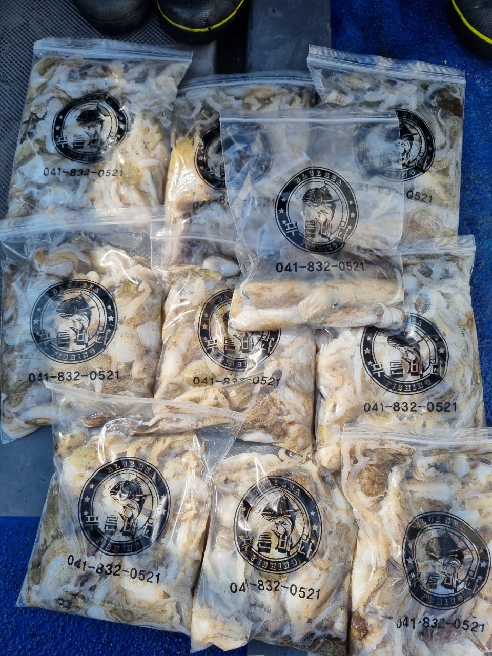 [[푸바5호]] 2021년 9월 12일 짤선장 쭈꾸미  조행기~