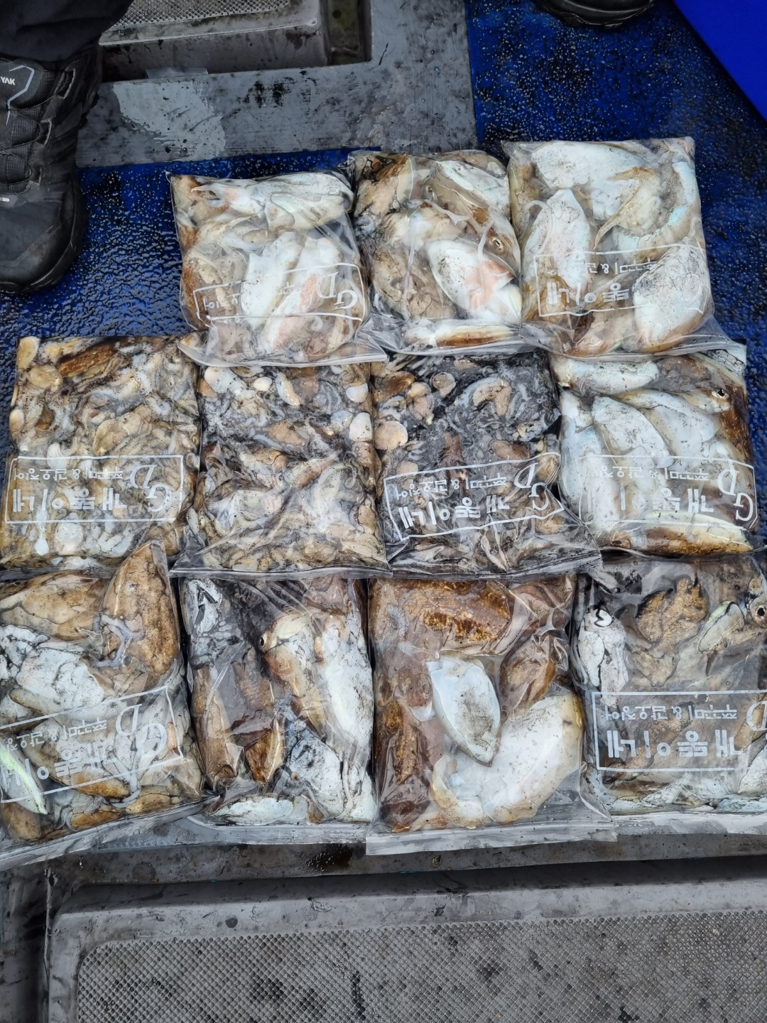 [[푸바5호]] 2021년 9월 27일 짤선장 쭈꾸미 조행기~