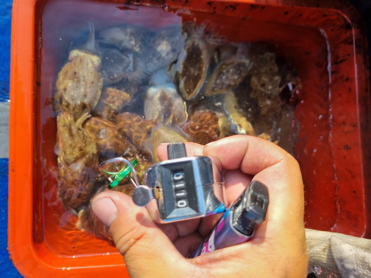 [[푸바5호]] 2021년 9월 19일 짤선장 쭈꾸미  조행기~