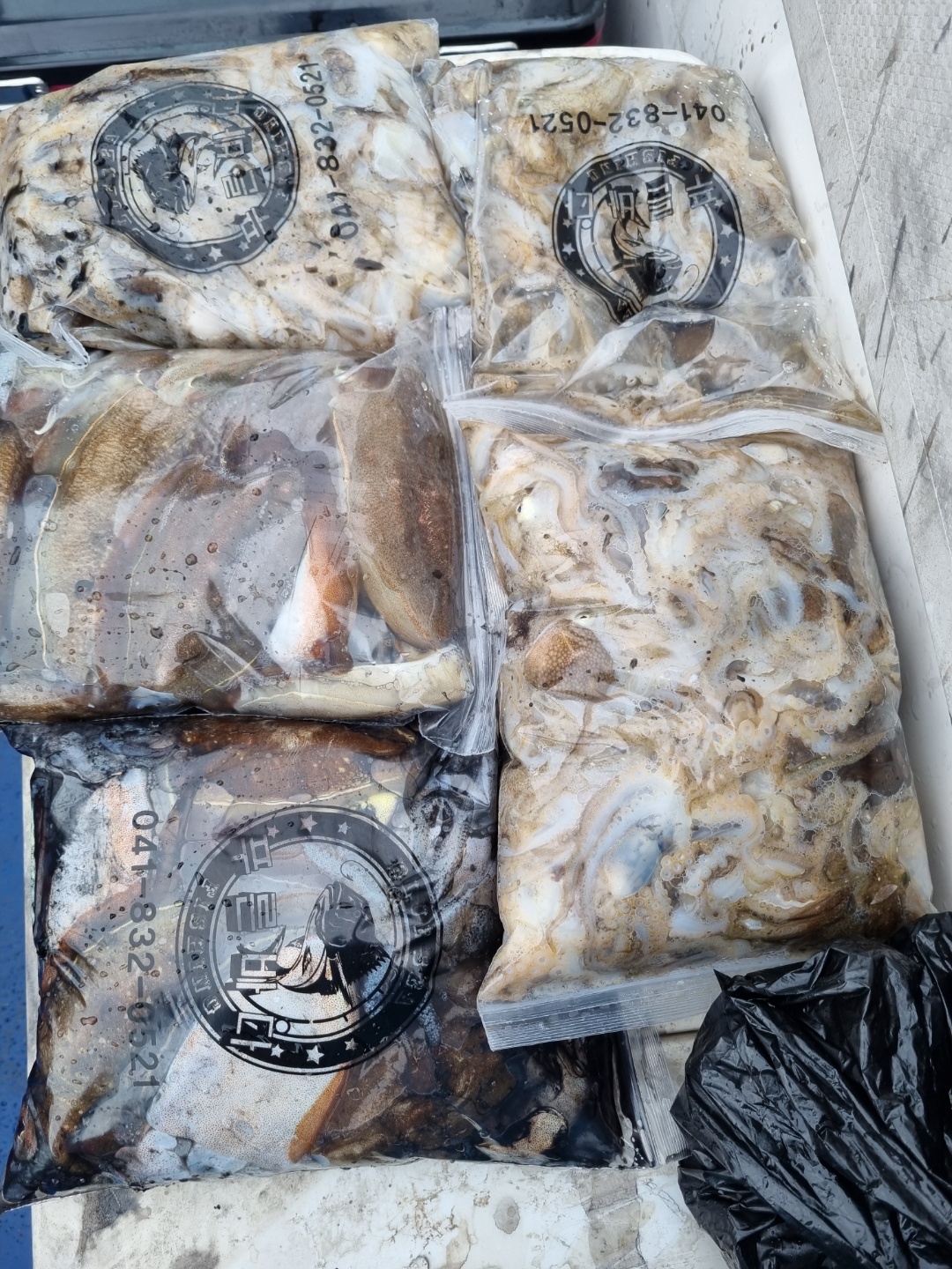 [[푸바5호]] 2021년 9월 28일 짤선장 쭈꾸미 조행기~