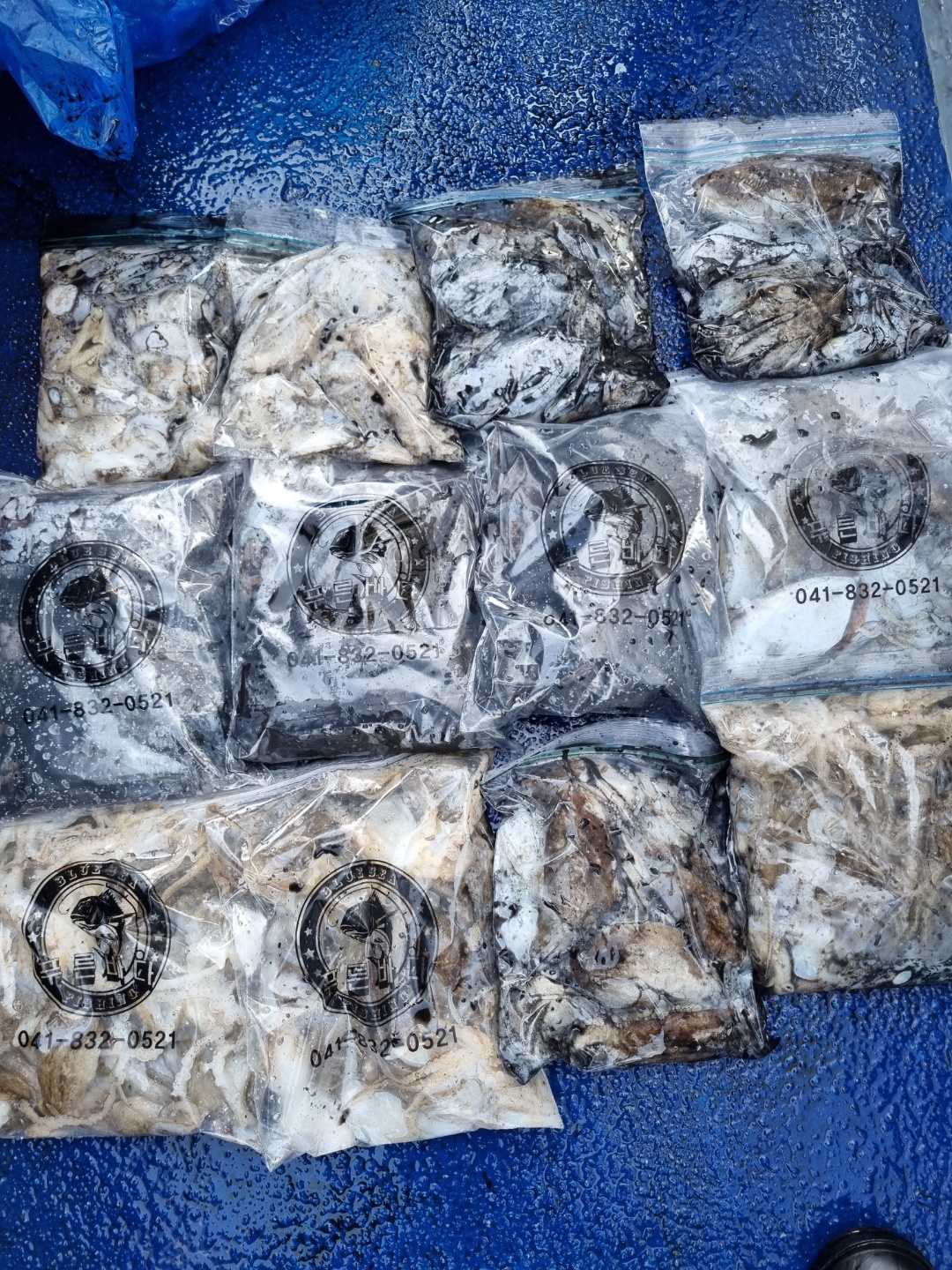 [[푸바5호]] 2021년 9월 22일 짤선장 쭈꾸미  조행기~