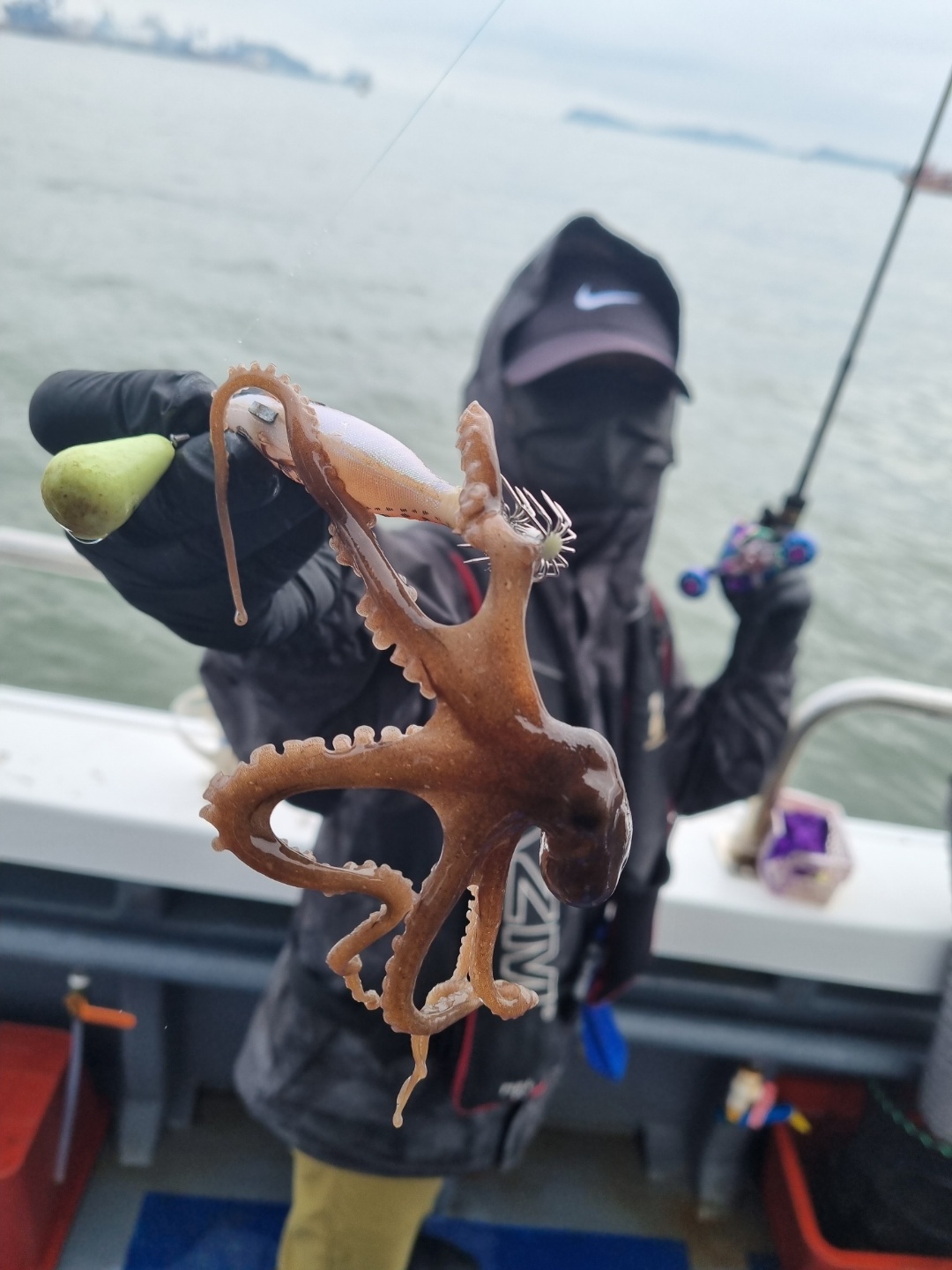 [[푸바5호]] 2021년 9월 1일 짤선장 첫~쭈꾸미~조행기~