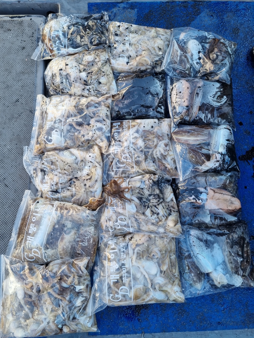 [[푸바5호]] 2021년 9월 30일 짤선장 쭈꾸미 조행기~