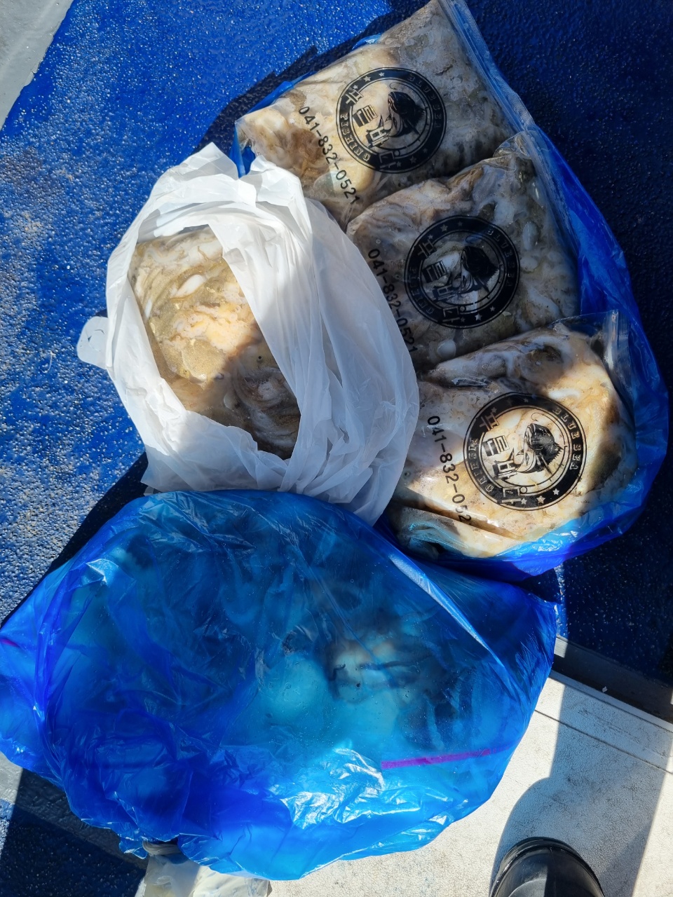 [[푸바5호]] 2021년 9월 11일 짤선장 쭈구미조행기~