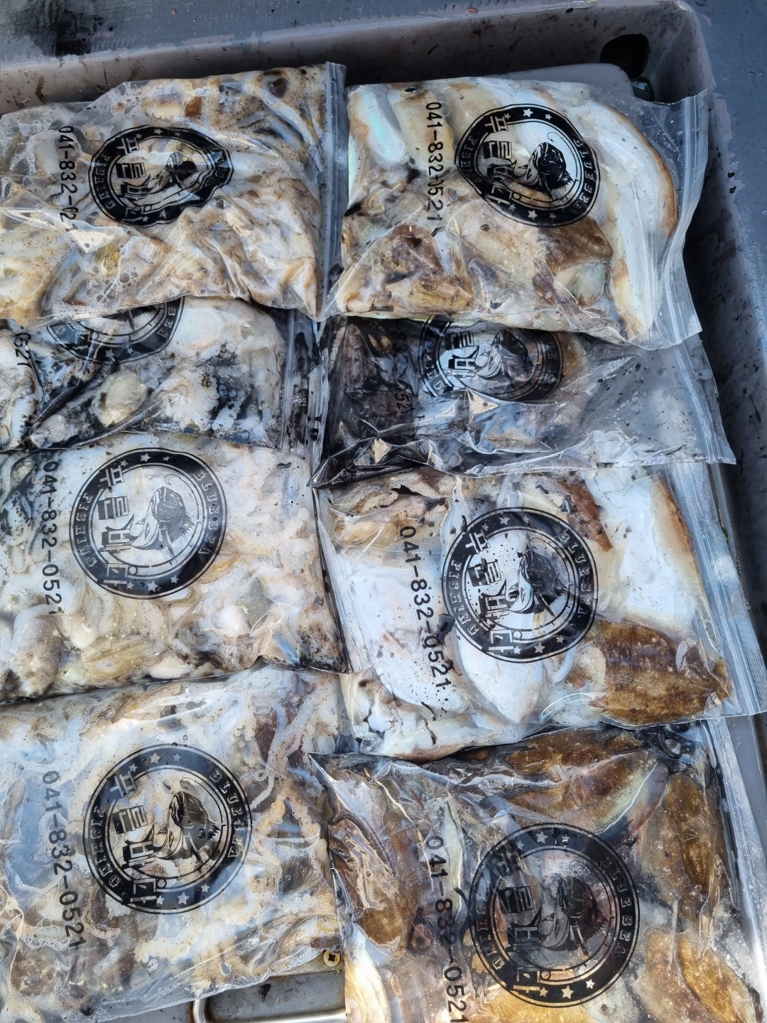 [[푸바5호]] 2021년 9월 24일 짤선장 쭈꾸미 조행기~