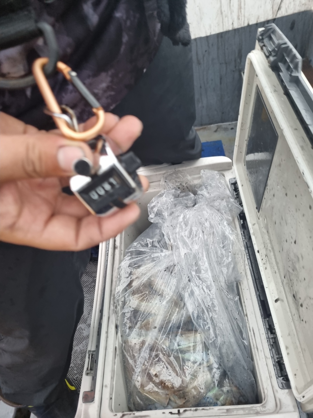 [[푸바5호]] 2021년 10월 10일 짤선장 갑오징어  조행기~