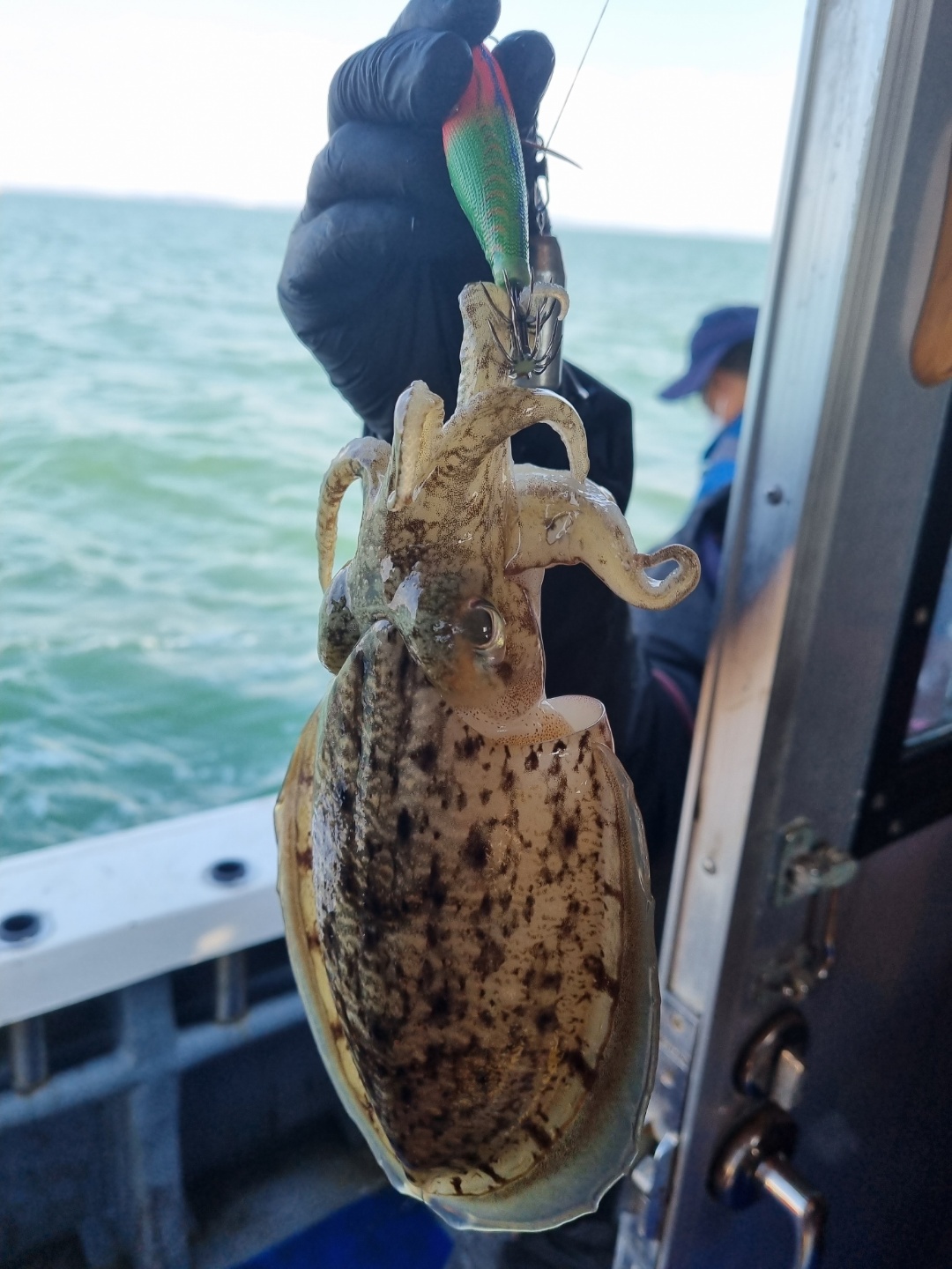 [[푸바5호]] 2021년 10월 25일 짤선장 갑오징어 조행기~