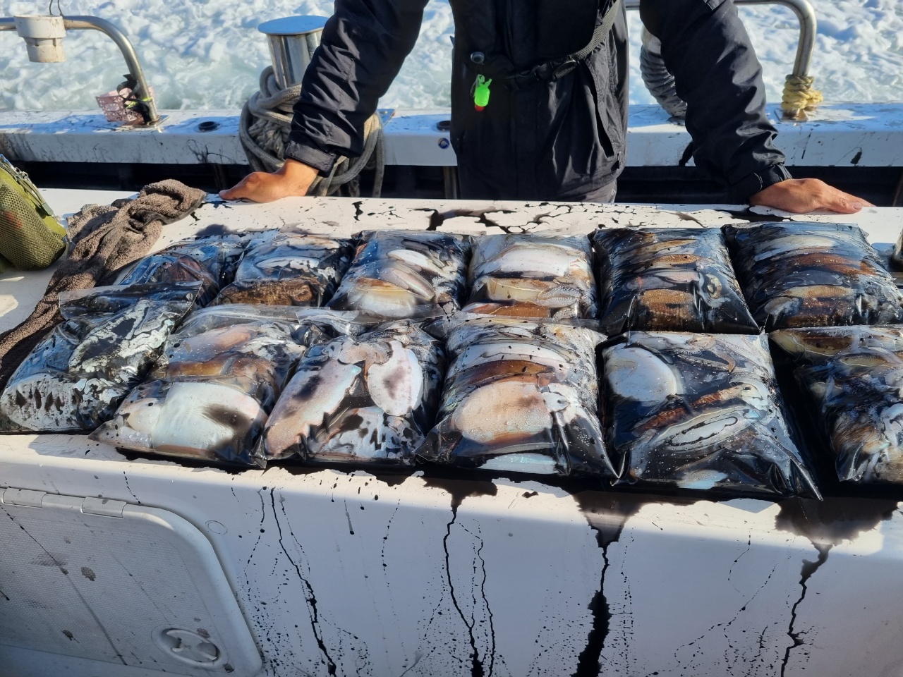 [[푸바5호]] 2021년 10월 6일 짤선장 갑오징어  조행기~