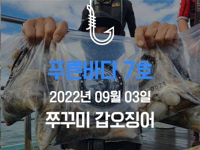 [푸른바다 7호] 9월 3일 쭈꾸미 갑오징어 출조