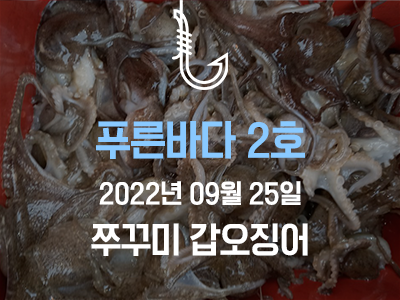 [푸른바다 2호] 9월 25일 쭈꾸미 갑오징어 출조