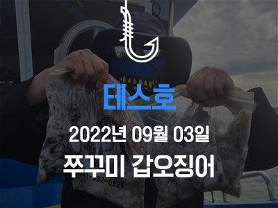 [테스호] 9월 3일 쭈꾸미 갑오징어 출조