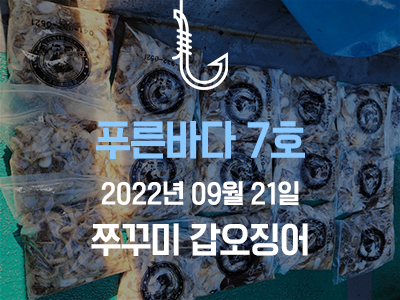 [푸른바다 7호] 9월 21일 쭈꾸미 갑오징어 출조