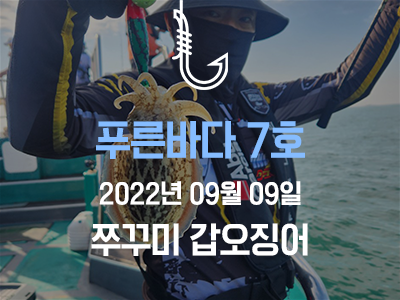 [푸른바다 7호] 9월 9일 쭈꾸미 갑오징어 출조