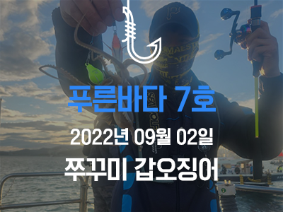 [푸른바다 7호] 9월 2일 쭈꾸미 갑오징어 출조