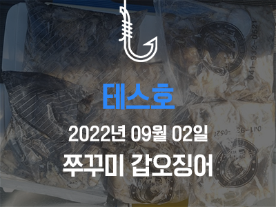 [테스호] 9월 2일 쭈꾸미 갑오징어 출조