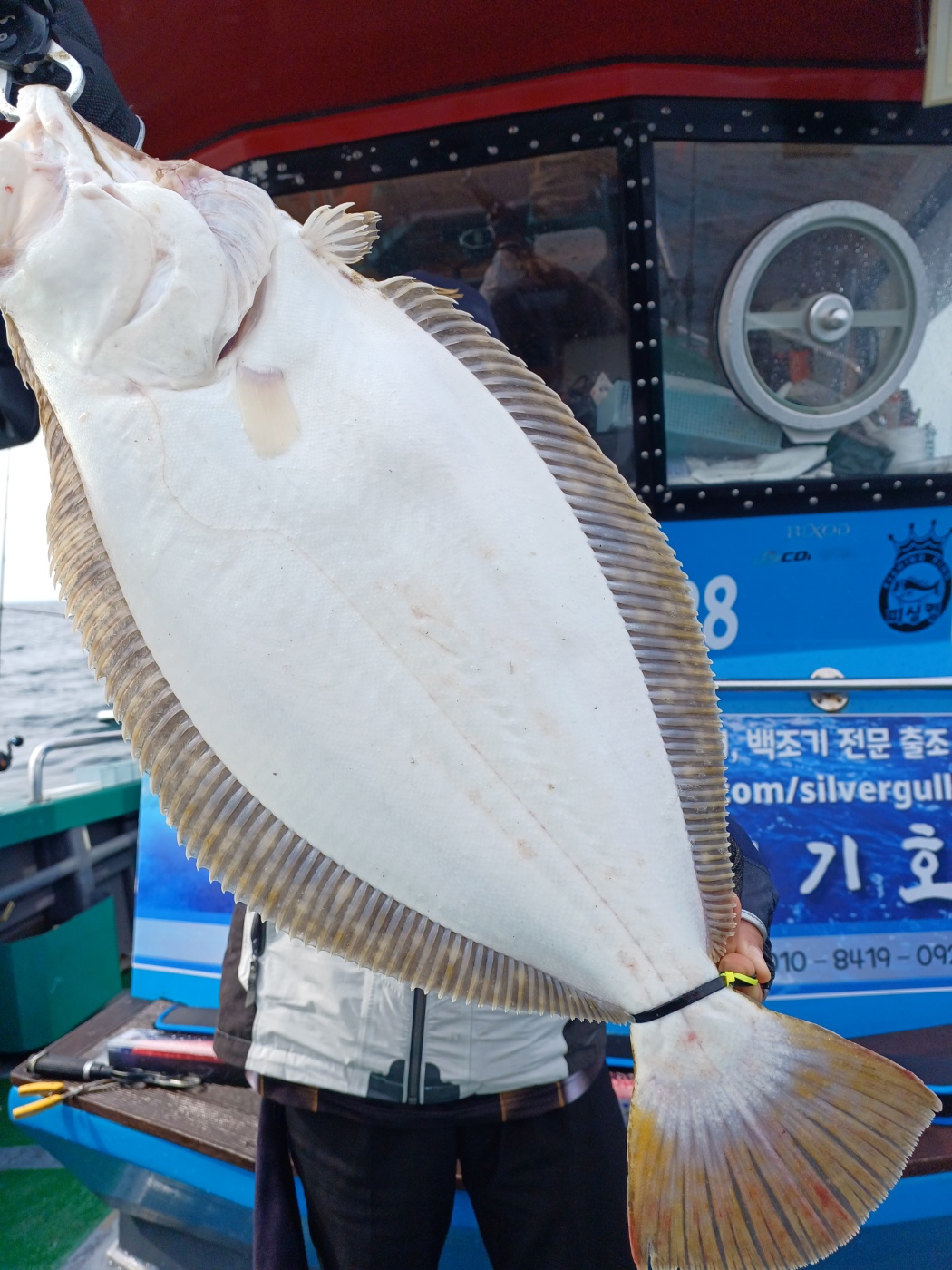 2023년6월10일 은갈매기호 다잡아 외수질 출조 조황입니다.