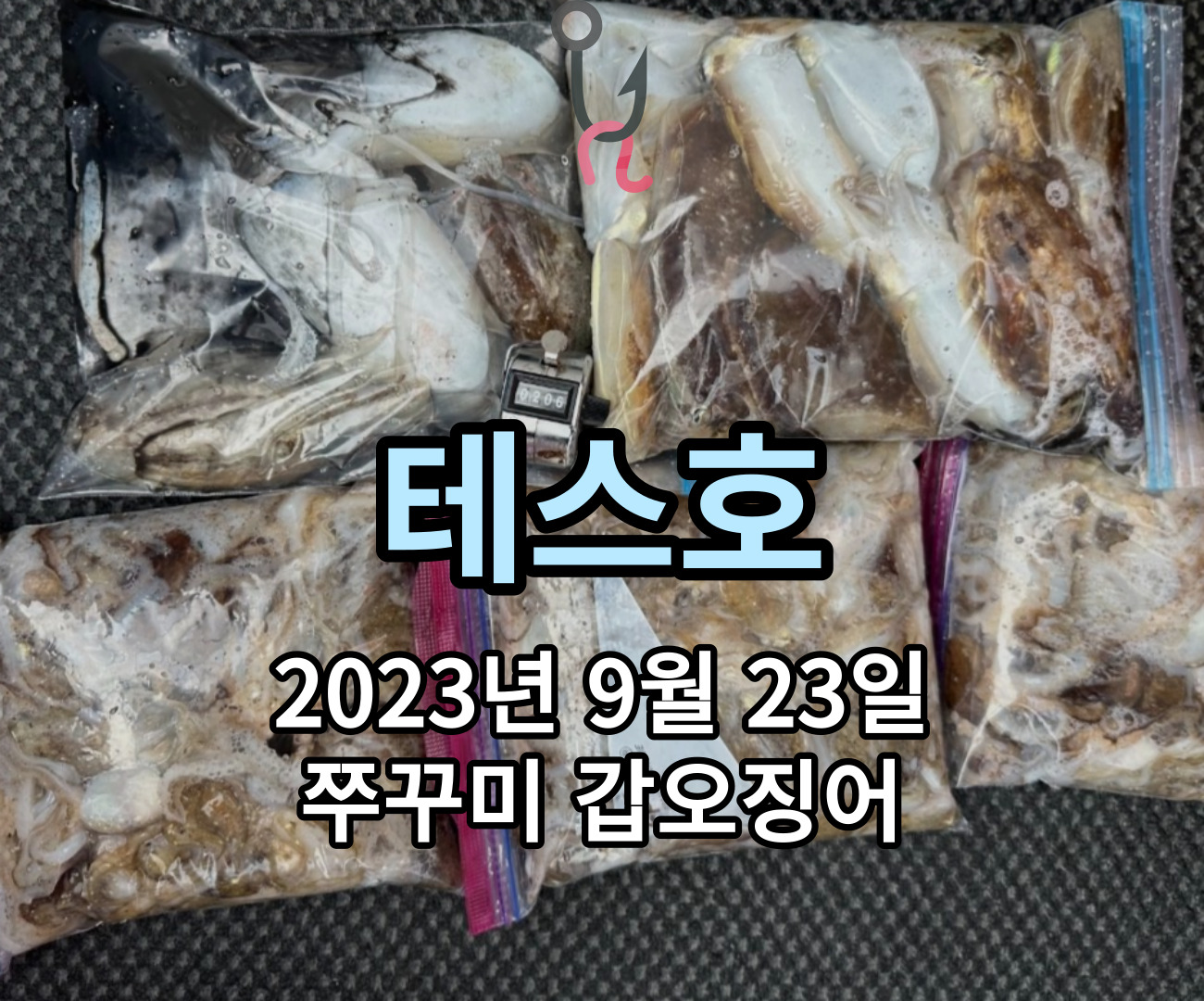 [테스호] 9월 23일 쭈꾸미 갑오징어 조황