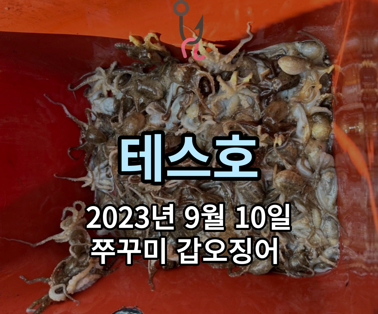 [테스호] 9월 10일 쭈꾸미 갑오징어 조황