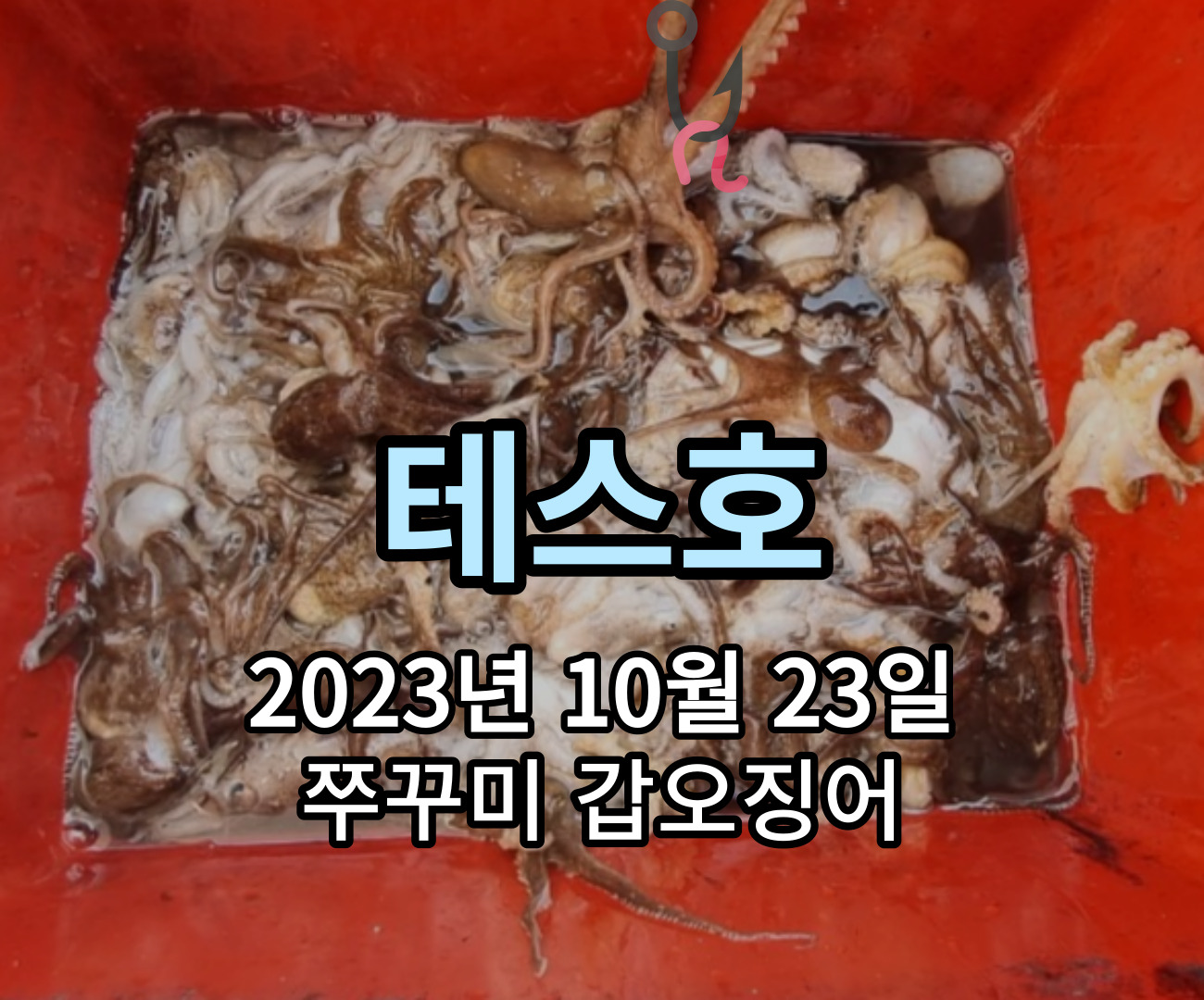 [테스호] 10월 23일 쭈꾸미 갑오징어 조황
