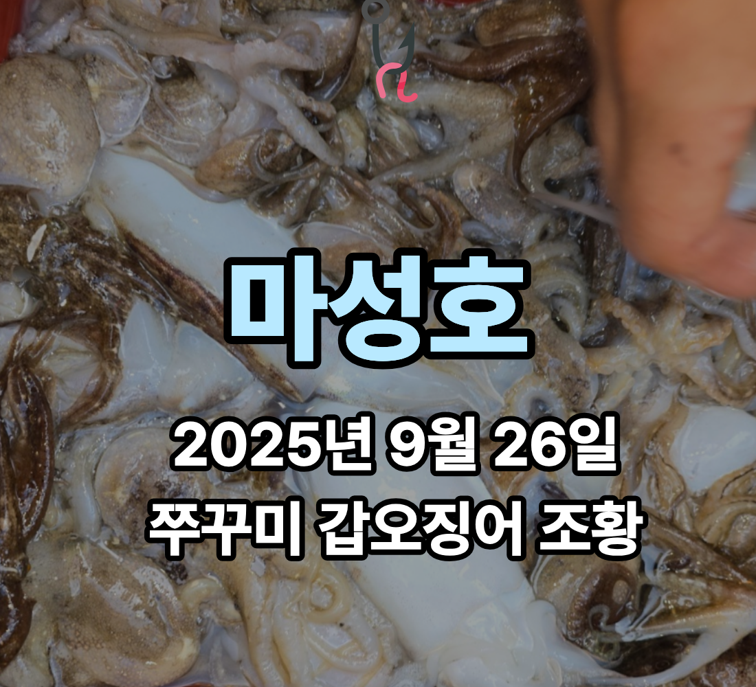 [마성호] 9월 26일 쭈꾸미 갑오징어 조황