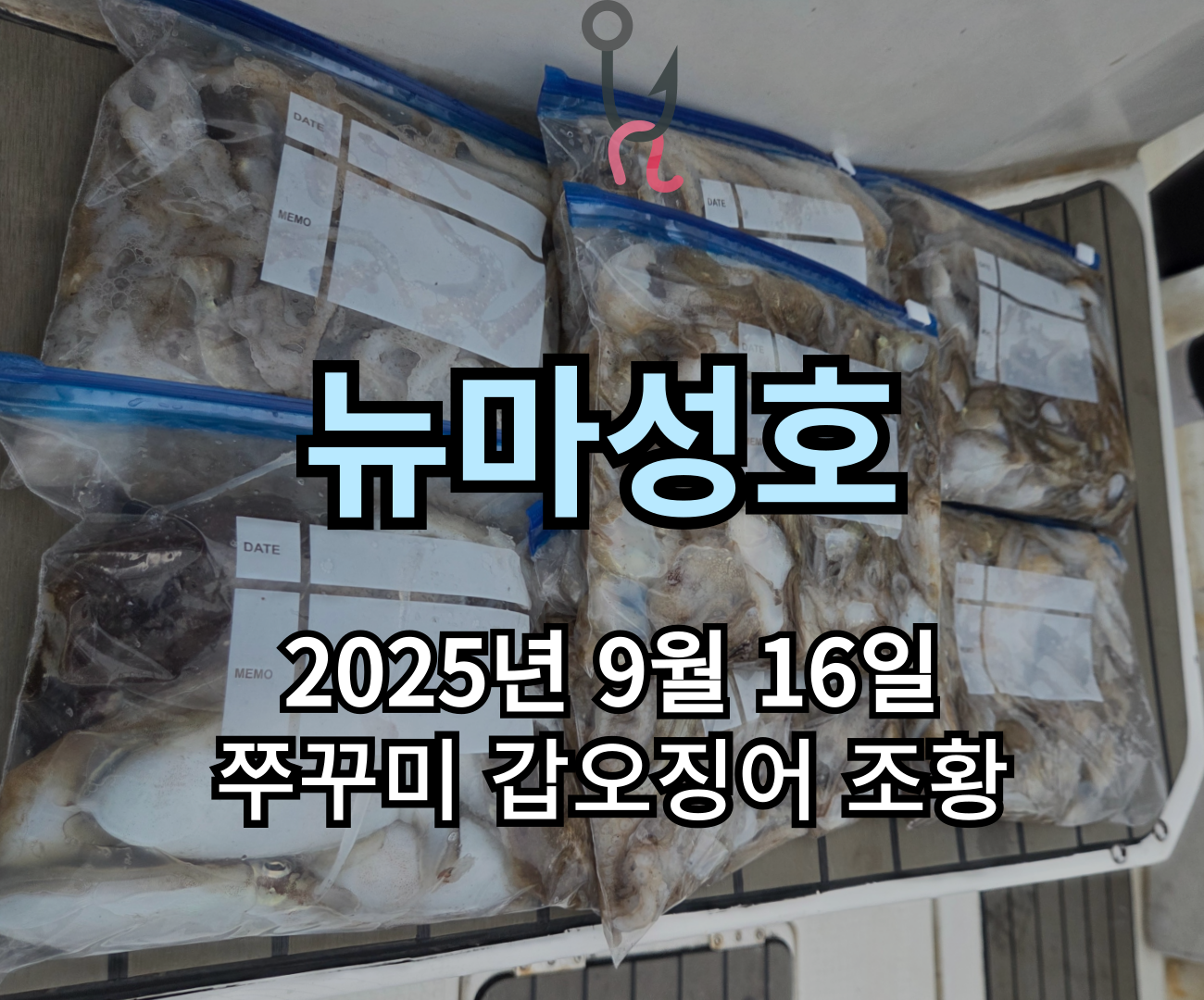 [뉴마성호] 9월 16일 쭈꾸미 갑오징어 조황