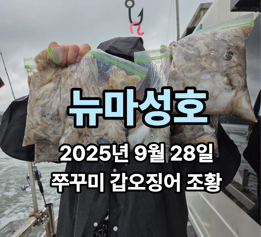 [뉴마성호] 9월 28일 쭈꾸미 갑오징어 조황