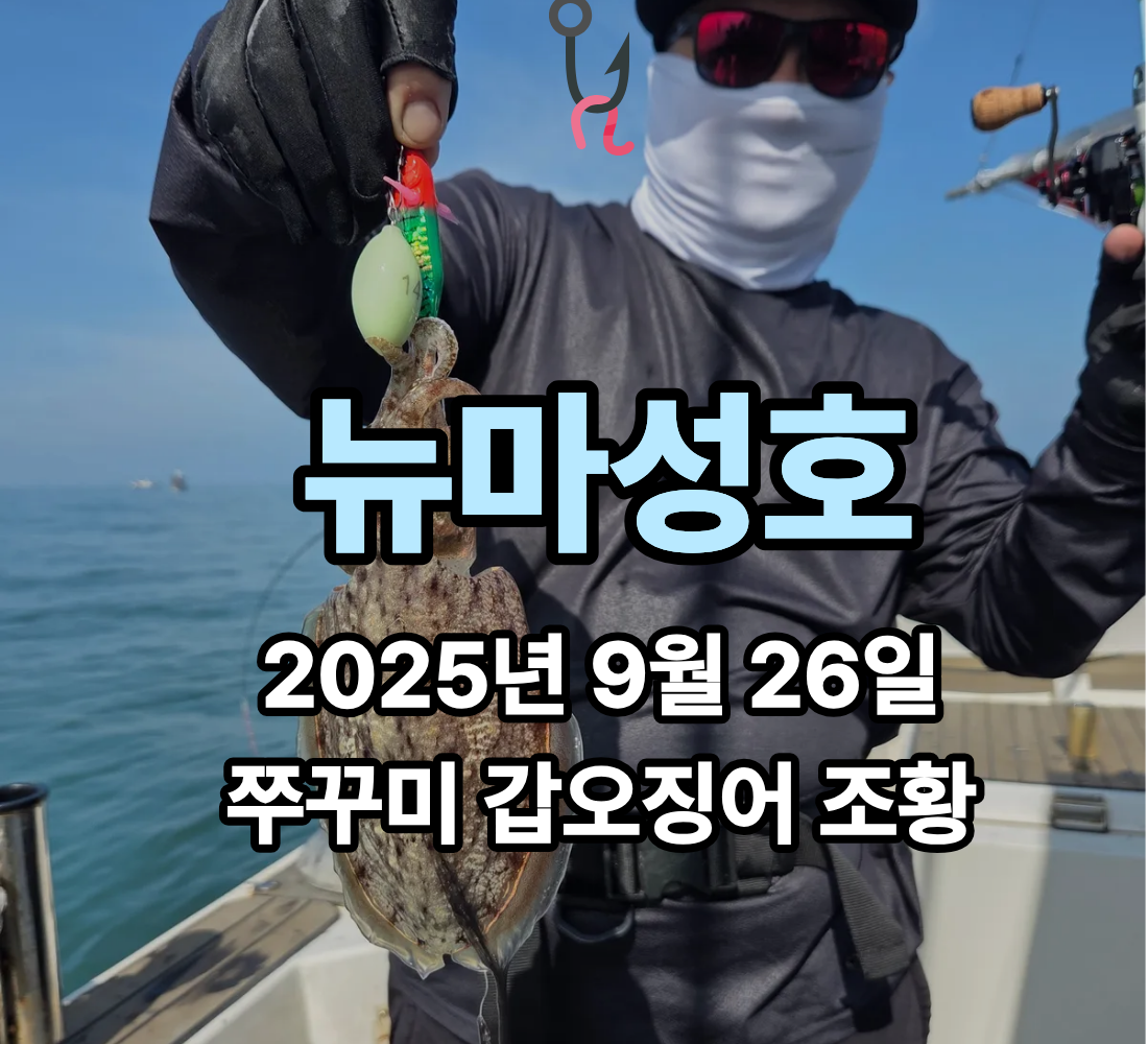 [뉴마성호] 9월 26일 쭈꾸미 갑오징어 조황