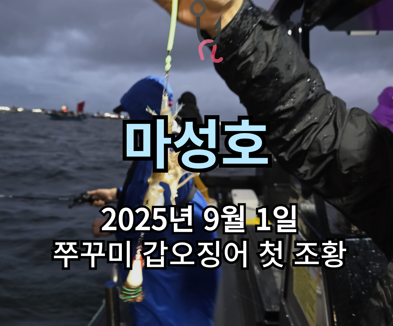 [마성호] 9월 1일 쭈꾸미 갑오징어 첫 조황