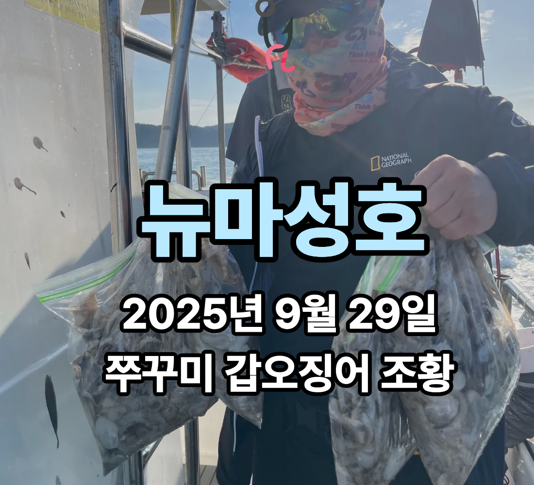 [뉴마성호] 9월 29일 쭈꾸미 갑오징어 조황