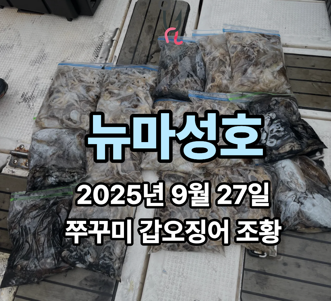 [뉴마성호] 9월 27일 쭈꾸미 갑오징어 조황