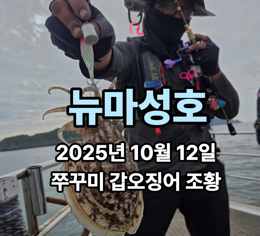 [뉴마성호] 10월 12일 쭈꾸미 갑오징어 조황