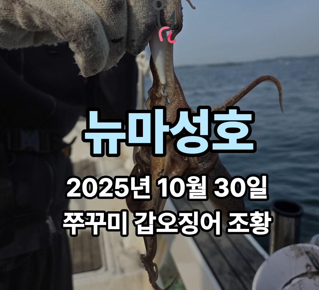 [뉴마성호] 10월 30일 쭈꾸미 갑오징어 조황