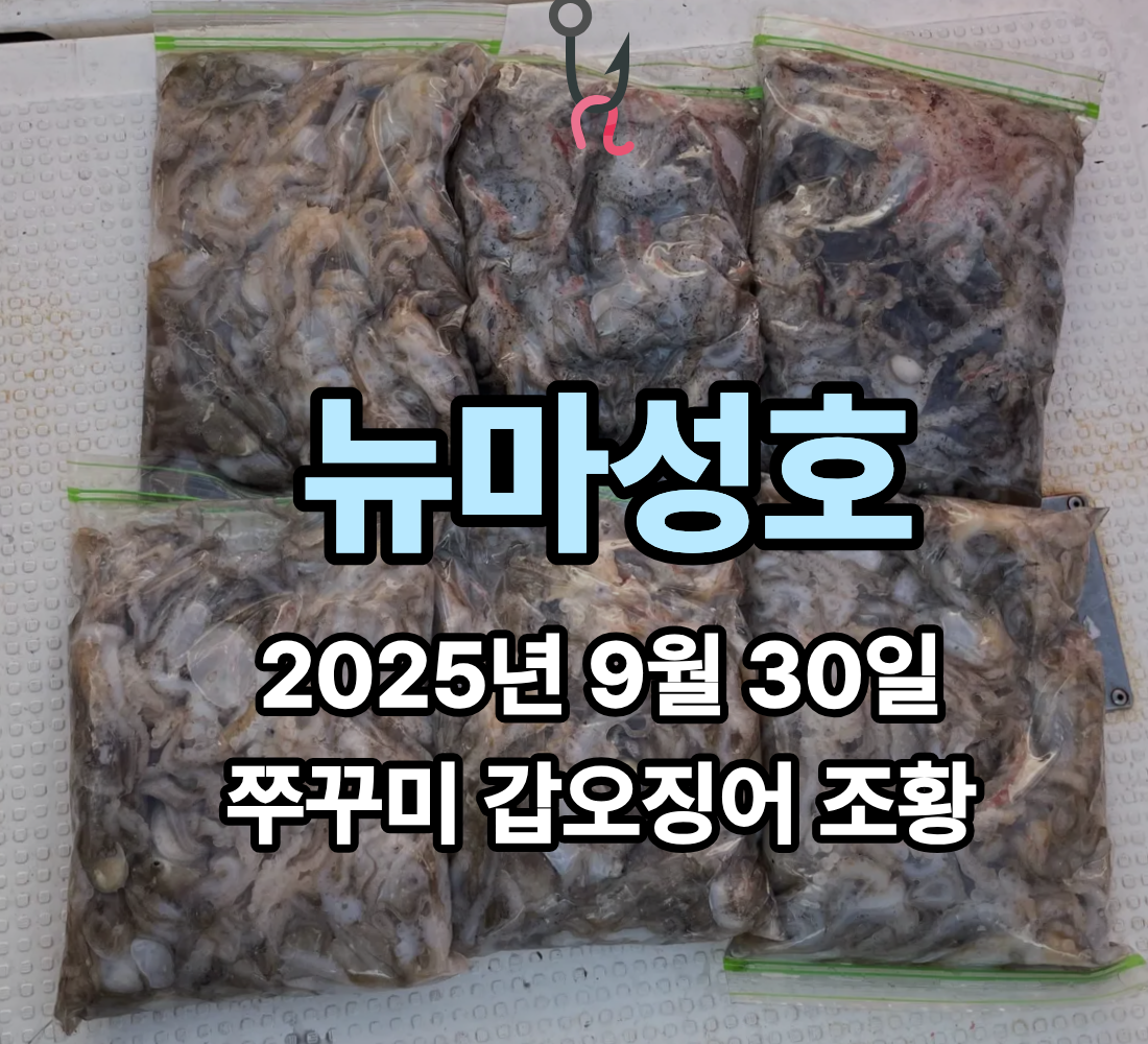 [뉴마성호] 9월 30일 쭈꾸미 갑오징어 조황