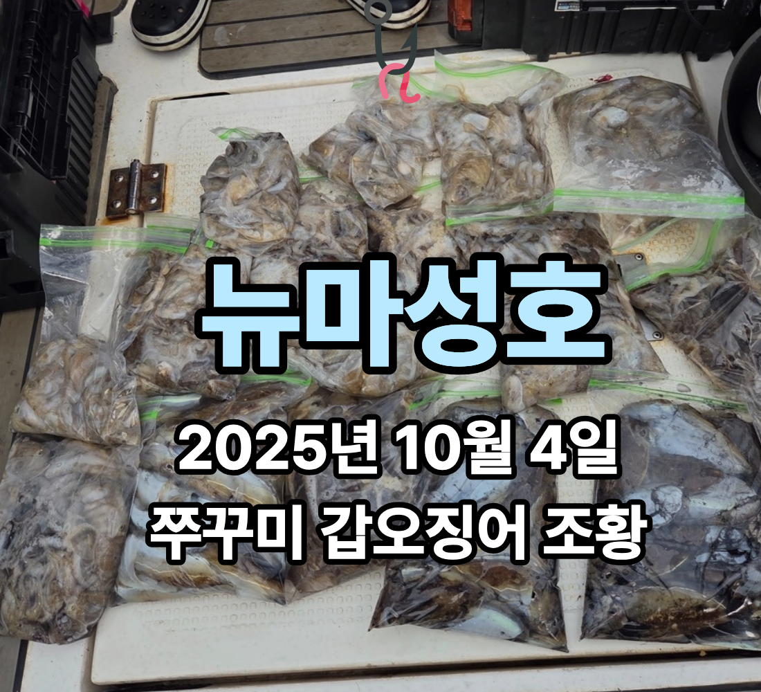 [뉴마성호] 10월 4일 쭈꾸미 갑오징어 조황