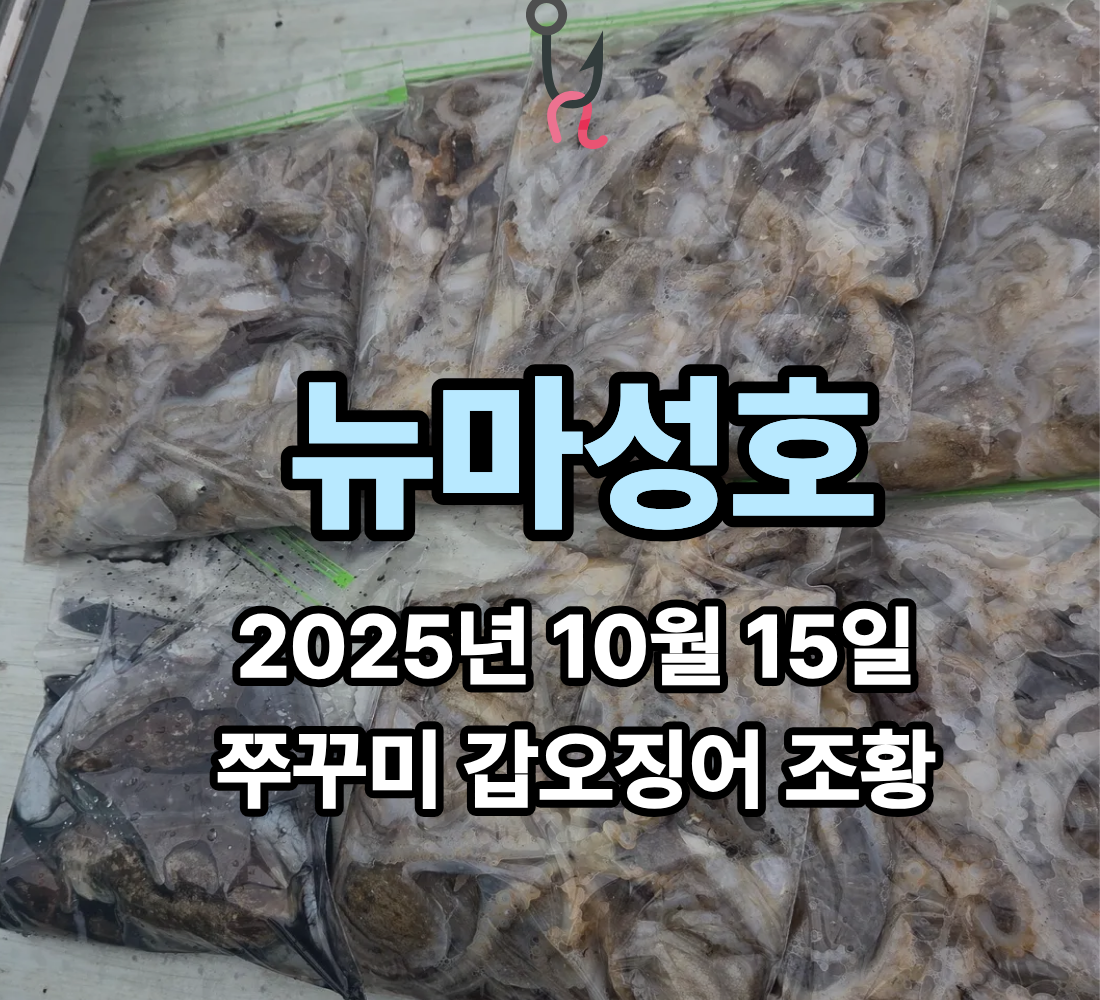 [뉴마성호] 10월 15일 쭈꾸미 갑오징어 조황