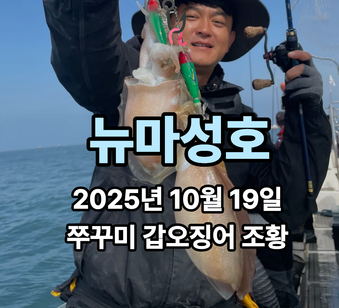 [뉴마성호] 10월 19일 쭈꾸미 갑오징어 조황