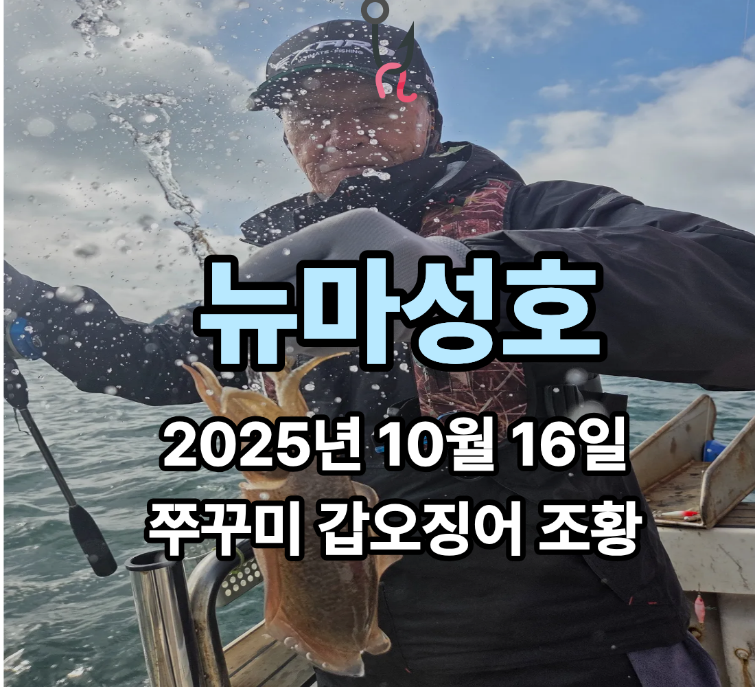 [뉴마성호] 10월 16일 쭈꾸미 갑오징어 조황