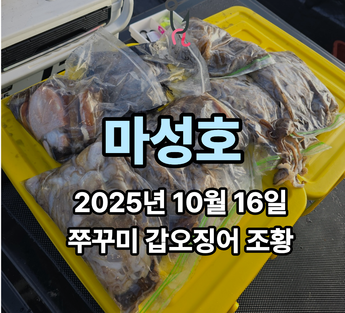 [마성호] 10월 16일 쭈꾸미 갑오징어 조황