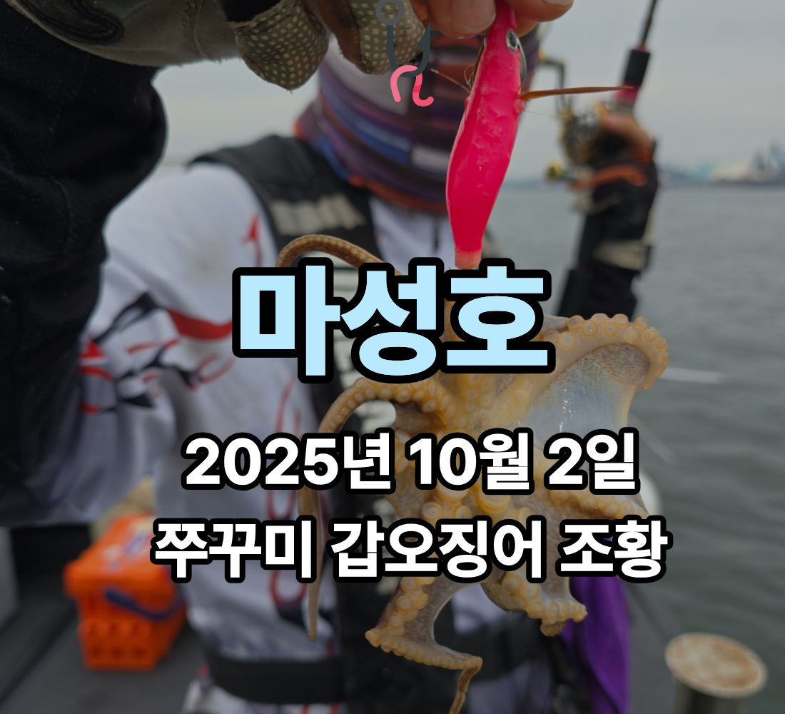 [마성호] 10월 2일 쭈꾸미 갑오징어 조황