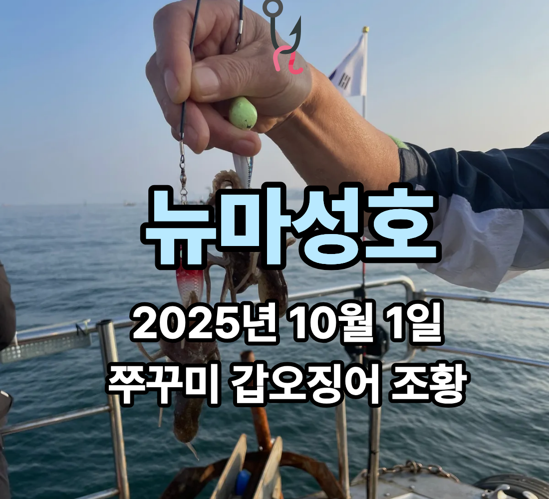 [뉴마성호] 10월 1일 쭈꾸미 갑오징어 조황