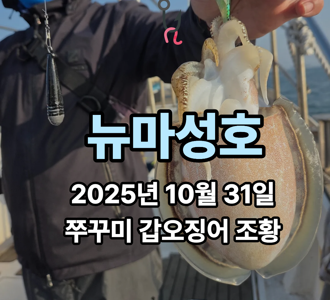[뉴마성호] 10월 31일 쭈꾸미 갑오징어 조황