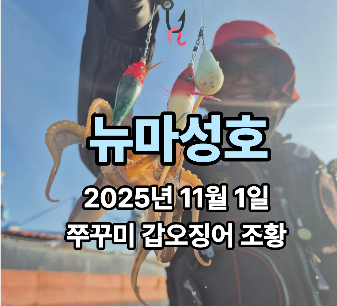 [뉴마성호] 11월 1일 쭈꾸미 갑오징어 조황
