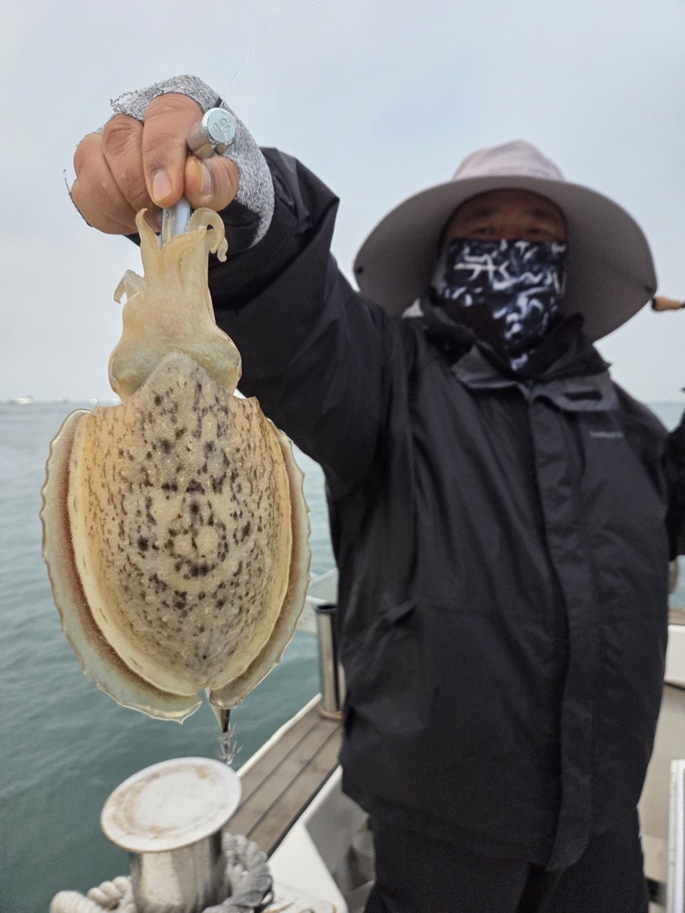 [뉴마성호] 11월 8일 쭈꾸미 갑오징어 조황