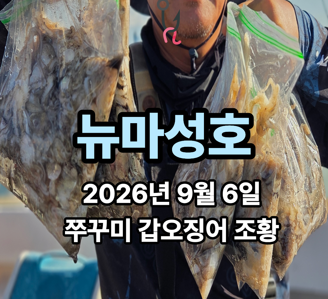 [뉴마성호] 9월 6일 일요일 쭈꾸미 갑오징어 조황