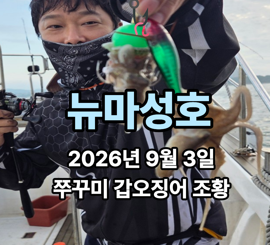 [뉴마성호] 9월 3일 목요일 쭈꾸미 갑오징어 조황