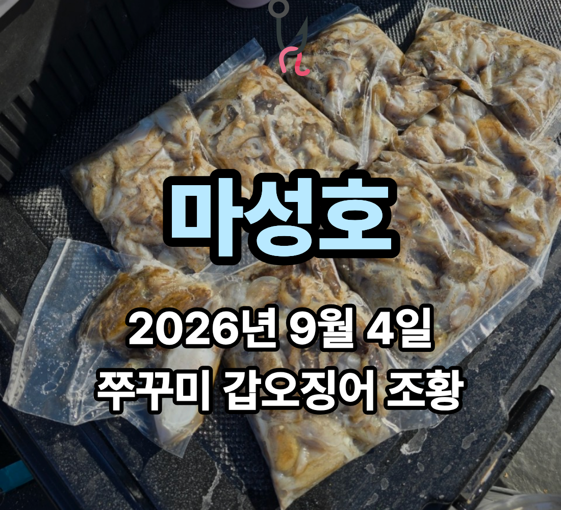 [마성호] 9월 4일 금요일 쭈꾸미 갑오징어 조황