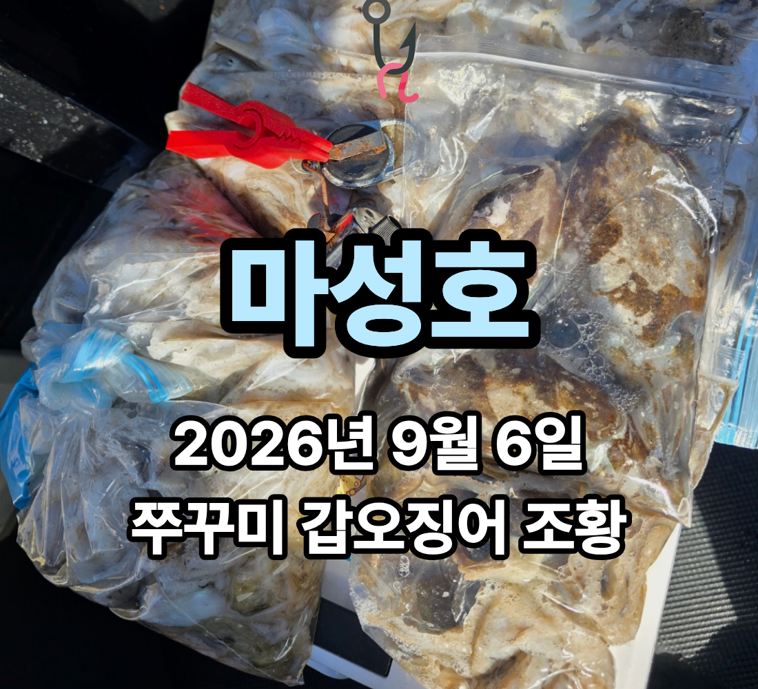 [마성호] 9월 6일 일요일 쭈꾸미 갑오징어 조황