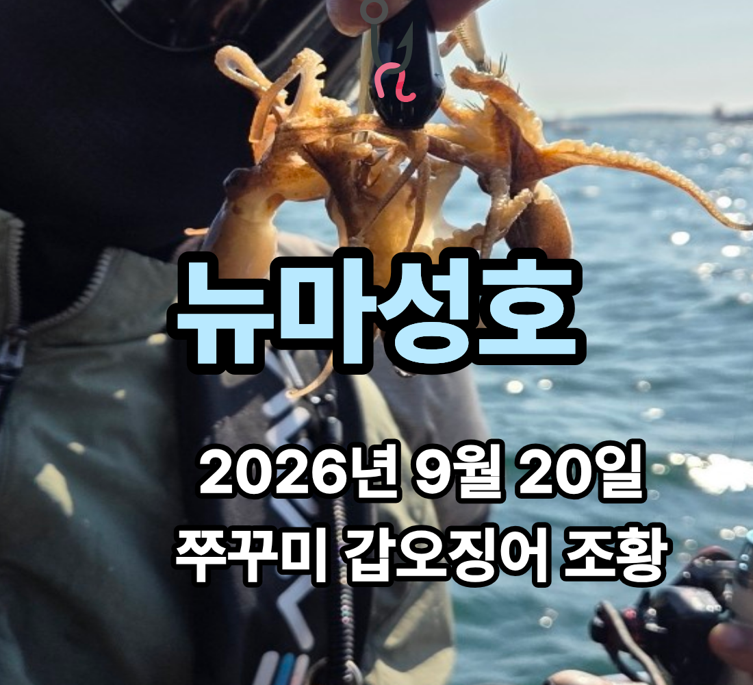 [뉴마성호] 9월 20일 일요일 쭈꾸미 갑오징어 조황