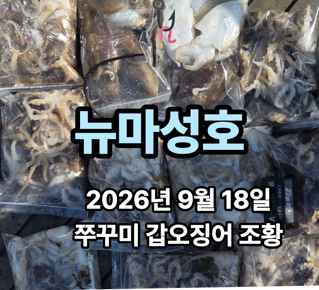 [뉴마성호] 9월 18일 금요일 쭈꾸미 갑오징어 조황